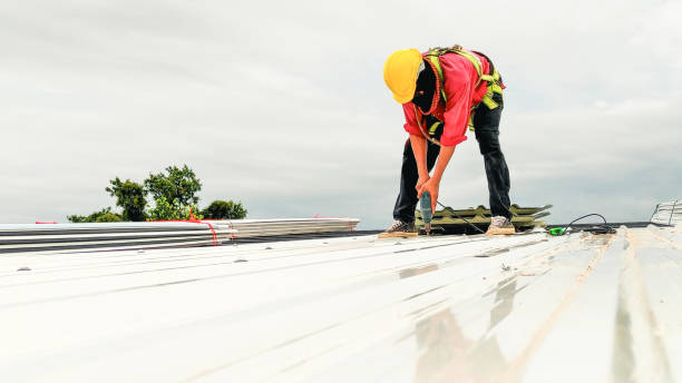Best Roof Leak Repair  in Teviston, CA
